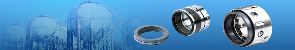 Mechanical Seal Manufacturer