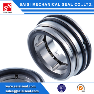 SS-Pulace: Burgmann Pulace replacement