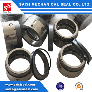SS-Type 9B: AES M02, John crane Type 9B PTFE wedge seal