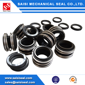 SS-MG1: Burgmann MG1 series mechanical seal