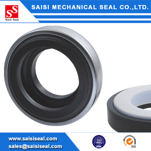 SS-BT-AR: Burgmann BT-AR replacement