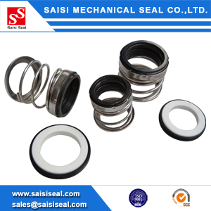 SS-560A: Replacement of 560A Elastomer bellows mechanical seal